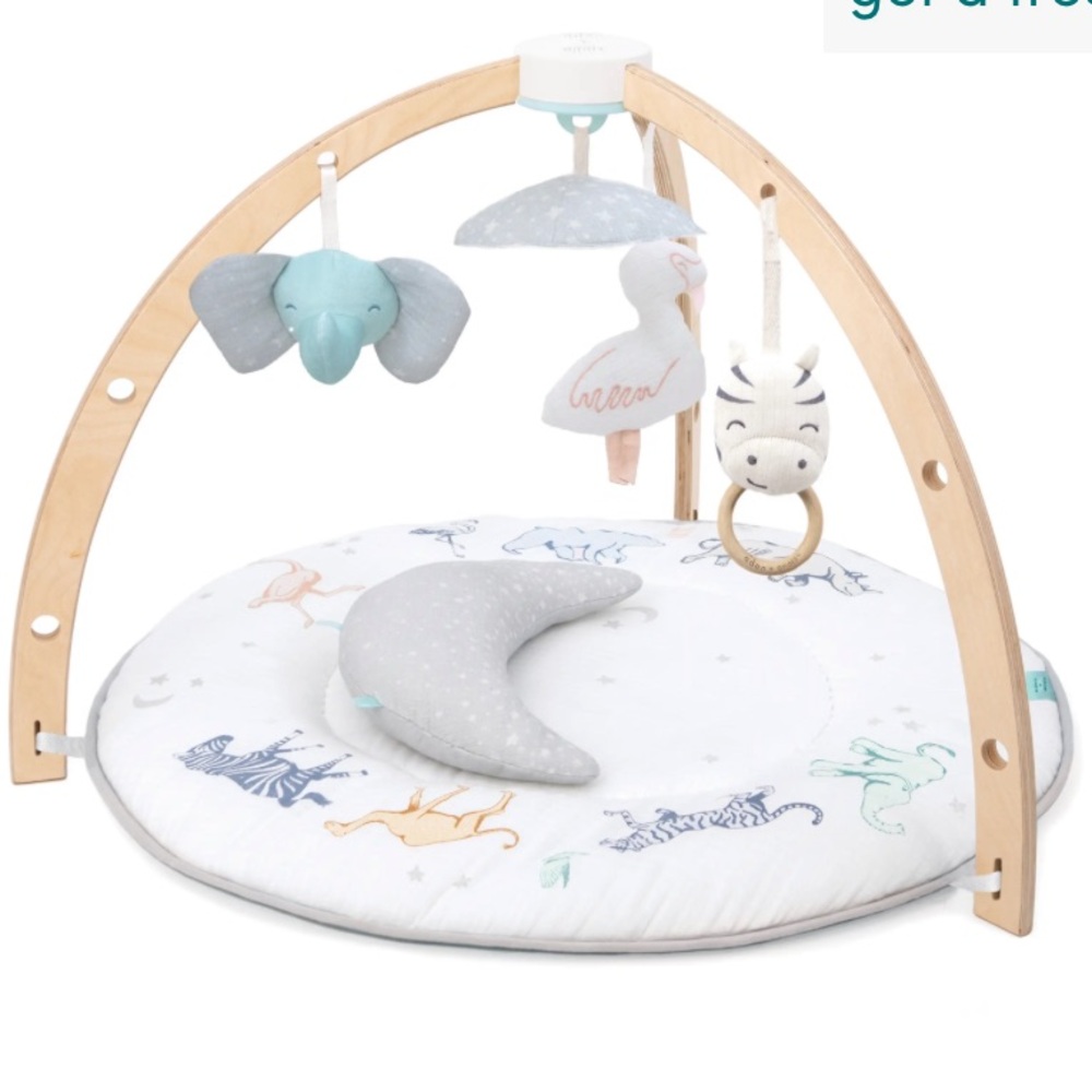 Baby play gym